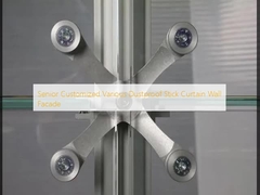 Senior angepasst verschiedene Staubdichte Stick Vorhangwand Fassade