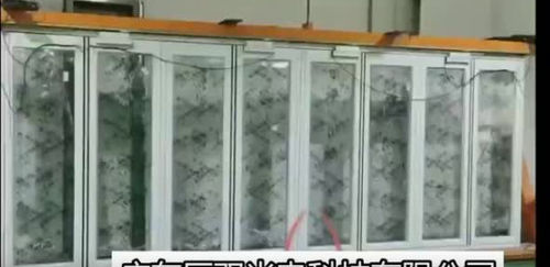 Latest company blogs about Electric Folding Doors