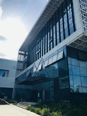 Harga yang bagus Dinding tirai kaca yang dapat disesuaikan dengan fungsi kedap suara dan perlindungan isolasi termal on line