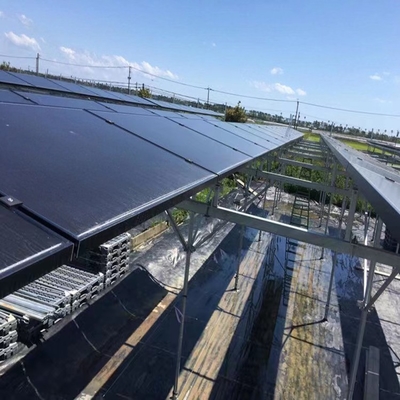 Giá tốt. Trung tâm mua sắm Các tấm kính mặt trời PV cho việc sản xuất năng lượng bền vững trực tuyến