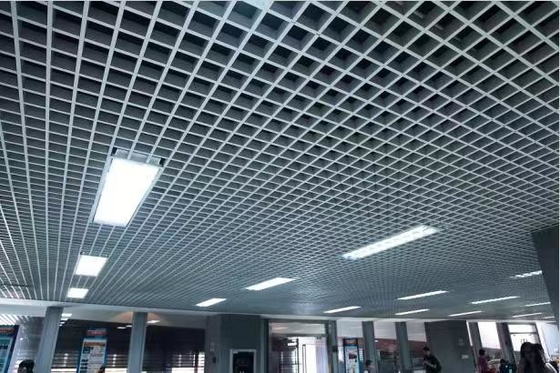 Buon prezzo Griglia leggera rettangolare personalizzabile resistenza agli urti eccellente resistenza alle intemperie in linea